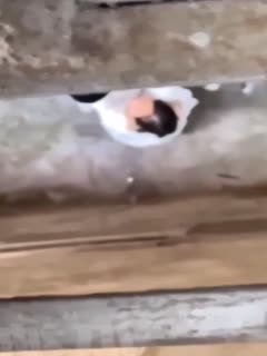 处破女A片60分钟粉嫩照片-2018国语老版国语字幕