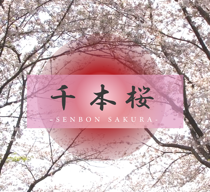 啊～用cao嗯力cao烂我视频-首播神马影院